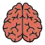 AI training brain icon